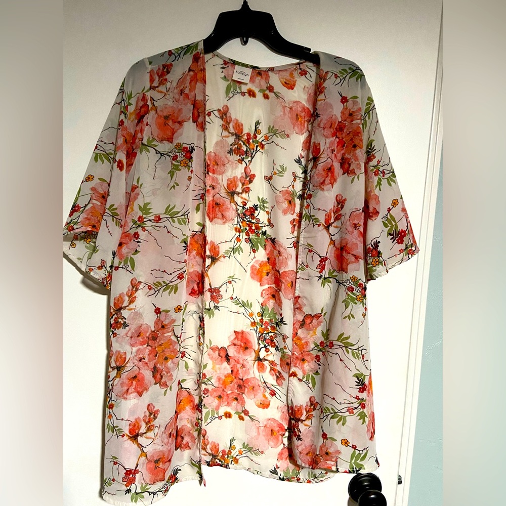 Kaileigh Spring Sheer top (size M)